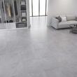 GRESIE SOFT SLATE GREY 60X60 1.08MP/CUT