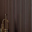 RIFLAJ LINERIO S-LINE MOCHA