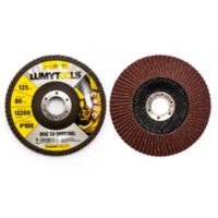 SET 2 DISCURI CU SMIRGHEL 150MM P100 L07987