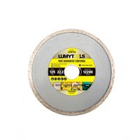 DISC DIAMANTAT CONTINUU 115MM L08731