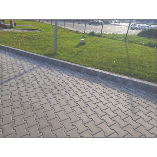 PAVAJ BEHATON GRI 8 CM (9.73MP/PAL)