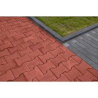 PAVAJ DUBLU T 6 CM ROSU (9.43 MP/PAL) ELIS