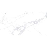 GRESIE AVENZO SILVER 60X120 1.44mp/cut