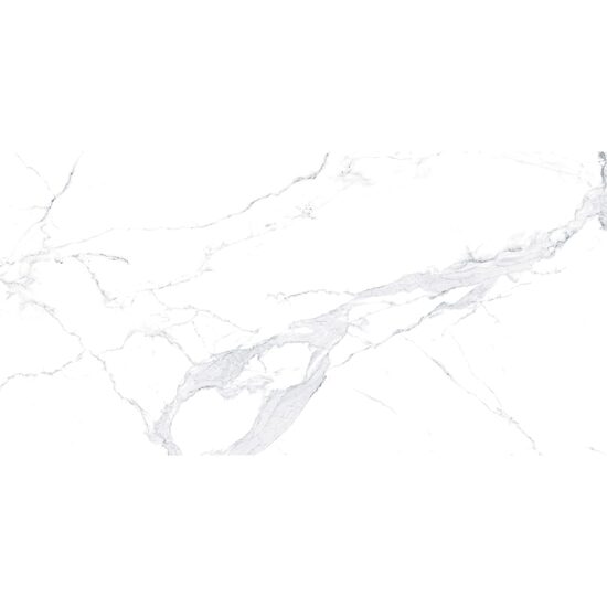 GRESIE AVENZO SILVER 60X120 1.44mp/cut