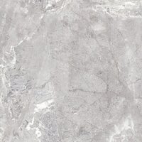 GRESIE SNAKE STONE SILVER 60X120 1.44mp/cut