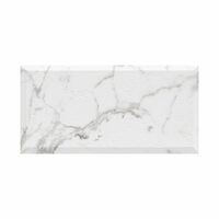 PIATRA DECORATA ALTHEA 40X20X2