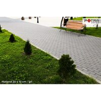 PAVAJ HOLLAND 20X10X4 GRI FLO (16.2 MP/PAL,50buc/mp) 810 buc / pal