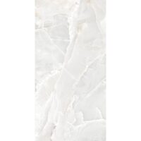 GRESIE LUNARIA SILVER 60X120