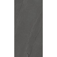 GRESIE SILVA ANTHRACITE 60X120
