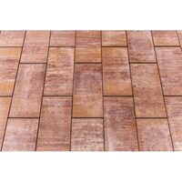 PAVAJ ROMAN ROSU CANION 60X30X6 (10.8 MP/PAL)