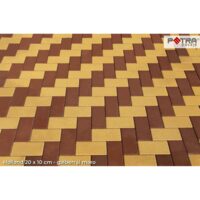 PAVAJ HOLLAND 20X10X4 MARO FLO (16.2 MP/PAL)