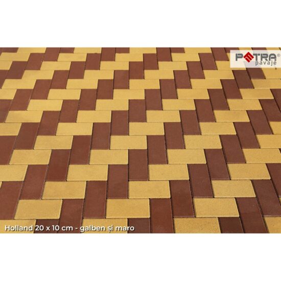 PAVAJ HOLLAND 20X10X4 MARO FLO (16.2 MP/PAL)