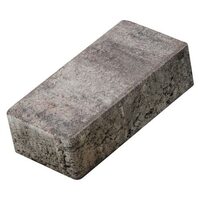 PAVAJ VIENA 20X10X6 NEGRU VIOLET (10, 8 MP / PAL )