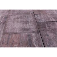 PAVAJ VIENA MIX 6.30 NEGRU VIOLET (10.8 MP/PAL)