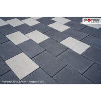 PAVAJ HOLLAND 20X10X4 NEGRU FLO (16.2 MP/PAL,50buc/mp)