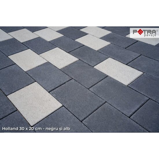 PAVAJ HOLLAND 20X10X4 NEGRU FLO (16.2 MP/PAL,50buc/mp)