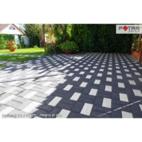 PAVAJ HOLLAND 20X10X6 NEGRU FLO (10.8 MP/PAL)