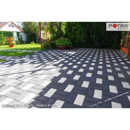 PAVAJ HOLLAND 20X10X6 NEGRU FLO (10.8 MP/PAL)