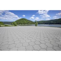 PAVAJ CROMATICA FLOARE 1 PASTEL 9,22MP/PAL