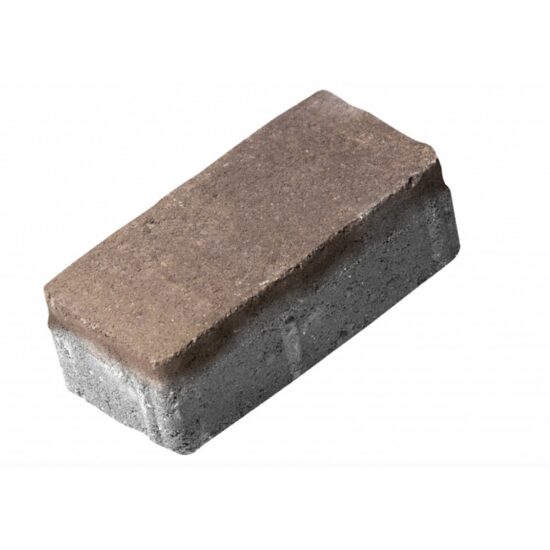 PAVAJ ANIMA D2 10X20X6 MARO PATINAT 50BUC/MP 10,56MP/PAL