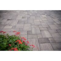 PAVAJ FANTASIA COMBI MARO PATINAT 6CM 11,25MP/PAL