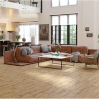 GRESIE TILIA BROWN RECT 3522 20X120 0.97mp/cut