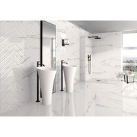 FAIANTA SELECTA CARRARA WHITE PLUS 40X120
