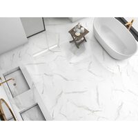 GRESIE LIVORNO GRYS RECT 59.6X59.6 1.42MP/CUT